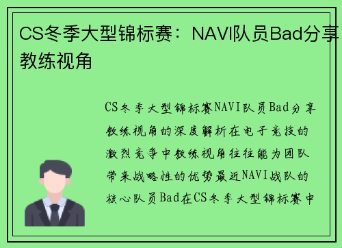 CS冬季大型锦标赛：NAVI队员Bad分享教练视角